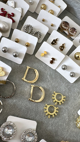 Earrings