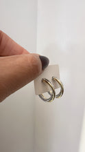 Load image into Gallery viewer, Earrings hoops