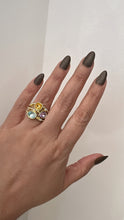 Load image into Gallery viewer, Crystals ring