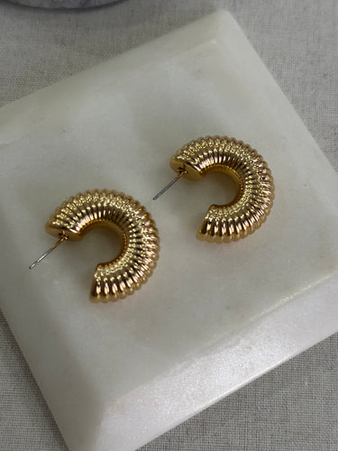 Earrings gold