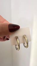 Load image into Gallery viewer, Earrings hoops