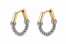 Load image into Gallery viewer, Hoops mini