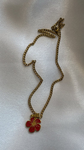 Amapola chain